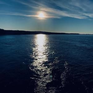 Meet your Posher, Noah